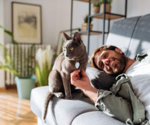 Dzień Kota: 5 faktów o kotach, które mogą cię zaskoczyć