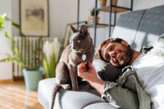 Dzień Kota: 5 faktów o kotach, które mogą cię zaskoczyć