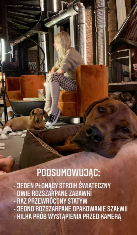 Bestie zniszczyły jej dom