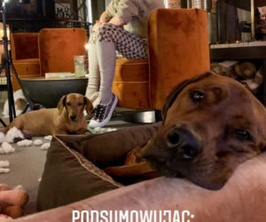Bestie zniszczyły jej dom