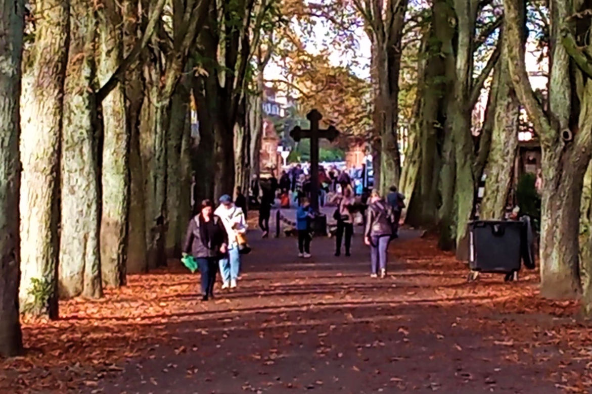 Cmentarz Centralny w Szczecinie przed 1 listopada