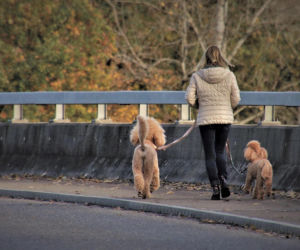 Pogoda na weekend w Warszawie 10-12 kwietnia. Weekend bez deszczu, ale z rosnącym zachmurzeniem