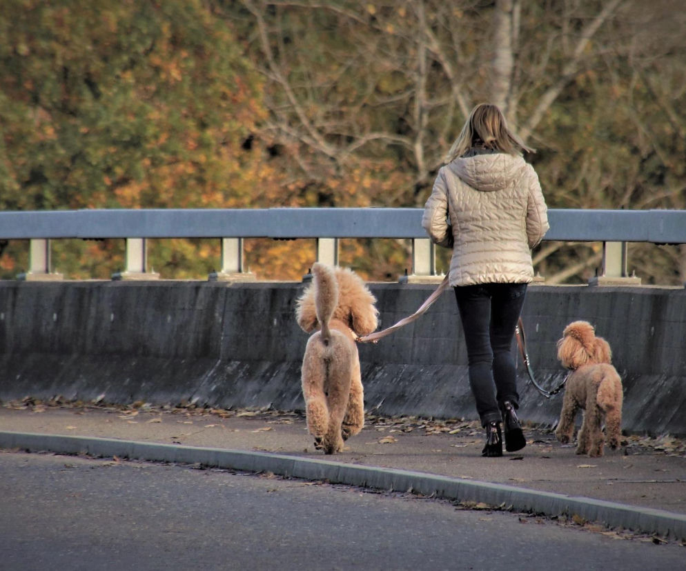 Pogoda na weekend w Warszawie 10-12 kwietnia. Weekend bez deszczu, ale z rosnącym zachmurzeniem