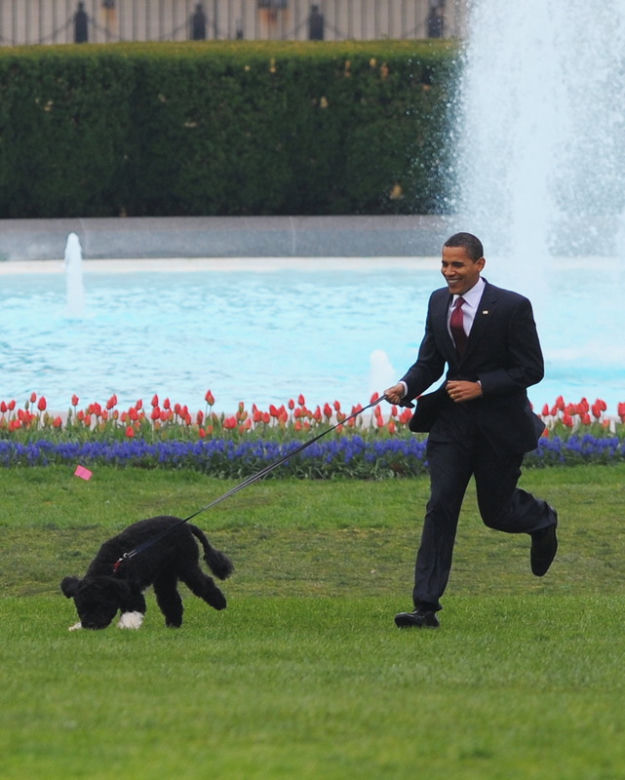 Barack Obama i Bo