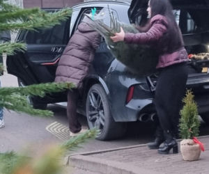 Florian Martyniuk. Syn Daniela wybrał choinkę i czeka na tatę