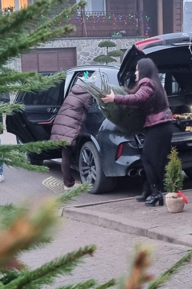 Florian Martyniuk. Syn Daniela wybrał choinkę i czeka na tatę