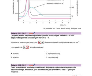 Matura 2026 biologia ROZSZERZONA: Arkusze CKE i odpowiedzi - sprawdź, czy zdałeś! 8.05.2026