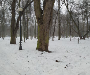 Gdzie mieścił się kiedyś letni teatr? Siedlecki park Aleksandria sto lat temu i w pierwszym tygodniu stycznia 2021: