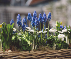 Kompozycje kwiatowe na wiosnę