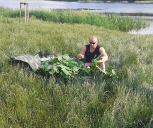 Zasiedli W Kręgu i odprawili Kupalnockę na Wyspie Młyńskiej w Iławie