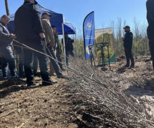 Siedleccy policjanci zasadzili drzewa w Golicach w ramach akcji „Plant a Tree – Green IPA Project”