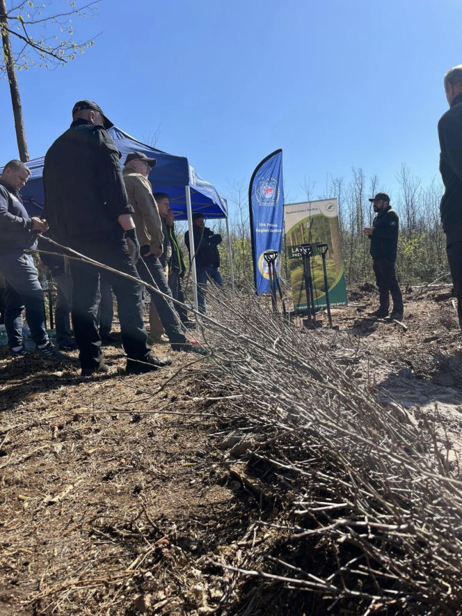 Siedleccy policjanci zasadzili drzewa w Golicach w ramach akcji „Plant a Tree – Green IPA Project”