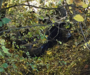 Koszmarny wypadek koło Włocławka. Waldek zginął, gdy jechał po narzeczoną