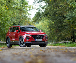 Hyundai Santa Fe 2.0 CRDi 185 KM 8AT 4WD Platinum