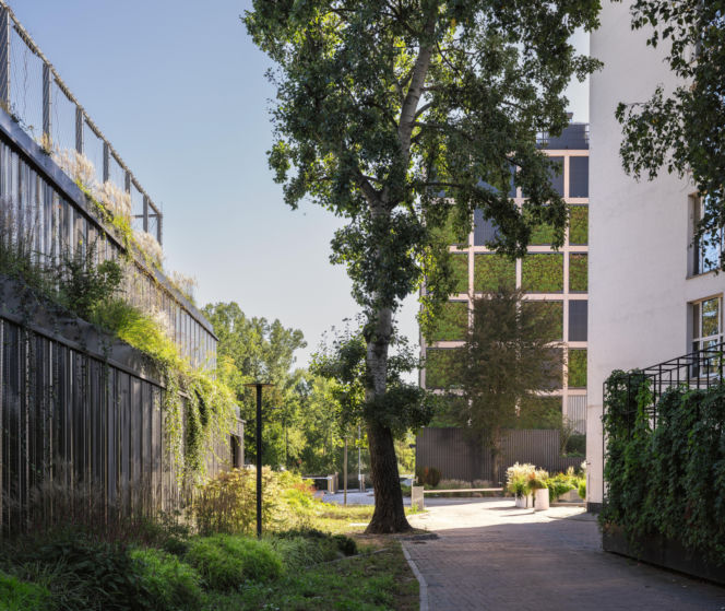 Kampus CD Projekt w Warszawie 21