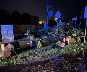 Blisko 300 interwencji strażaków po nocnych burzach. Dolny Śląsk walczy ze skutkami nawałnic
