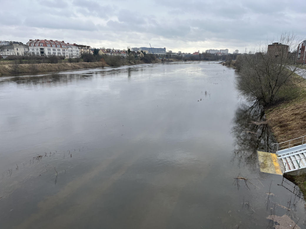 Poziom Warty w Poznaniu najwyższy od lat. Warta i Cybina zalewają pobliski teren