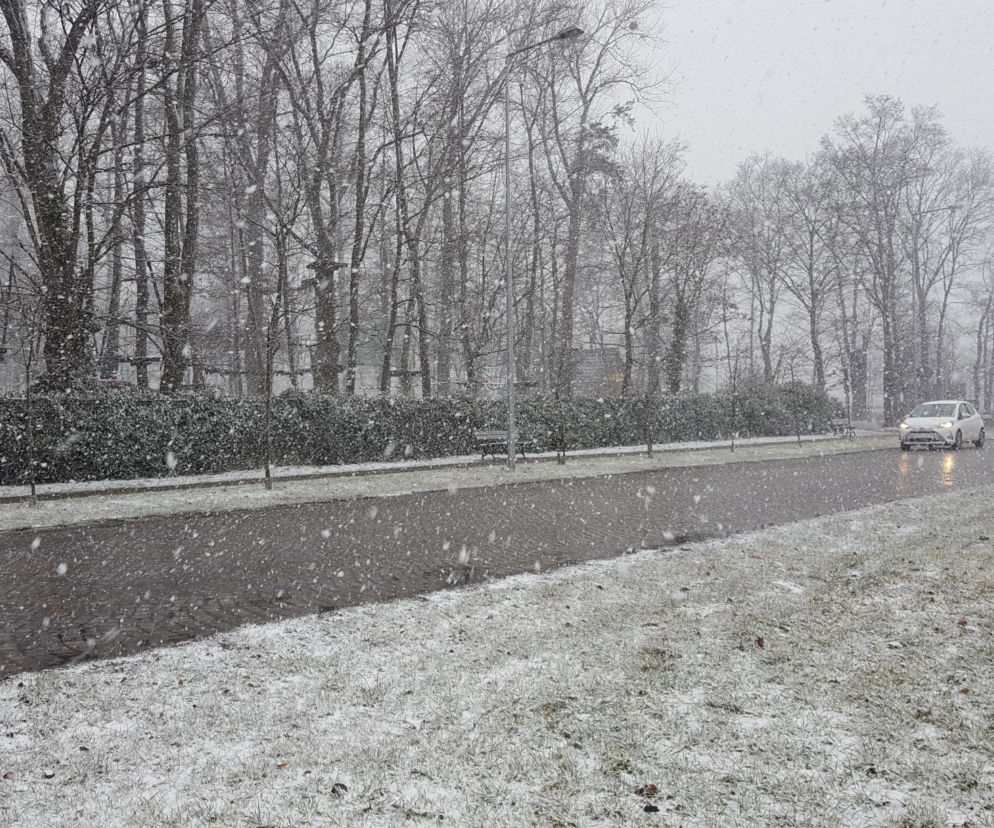 Dziś (19.03.) ostatni dzień zimy. Jutro (20.03.) początek astronomicznej wiosny