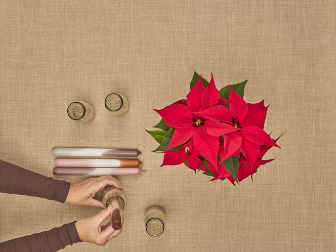 Adwentowa aranżacja z gwiazdą betlejemską