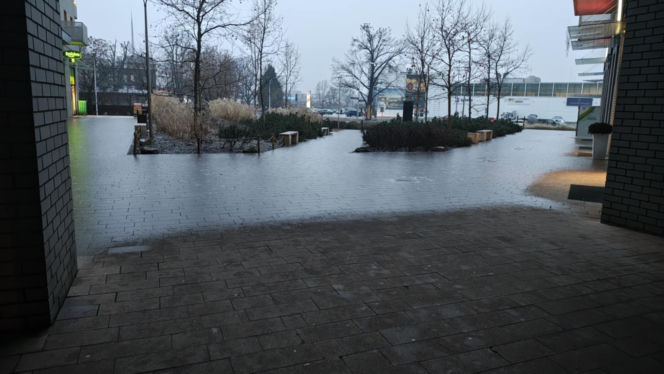 Silna gołoledź we Wrocławiu. Tak wyglądają drogi i chodniki w rejonie Mostów Trzebnickich