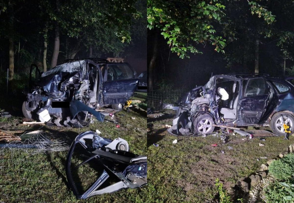 Rabinówka. Pijana 22-latka bez prawa jazdy uderzyła w ogrodzenie i drzewo