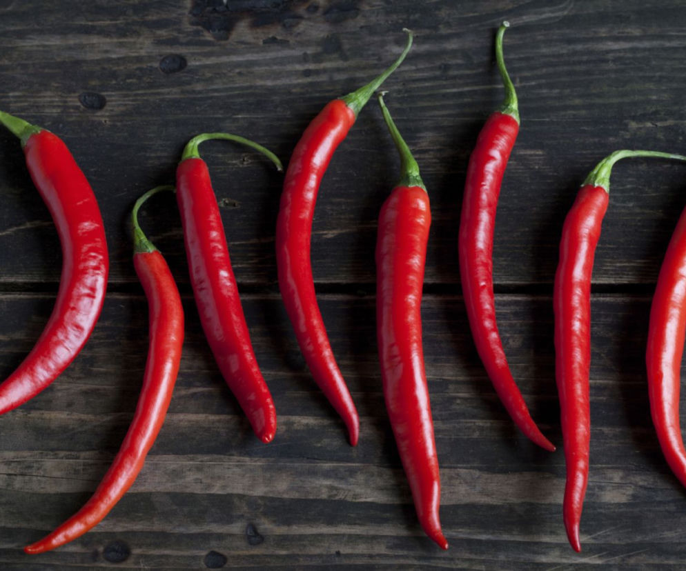 papryka chili