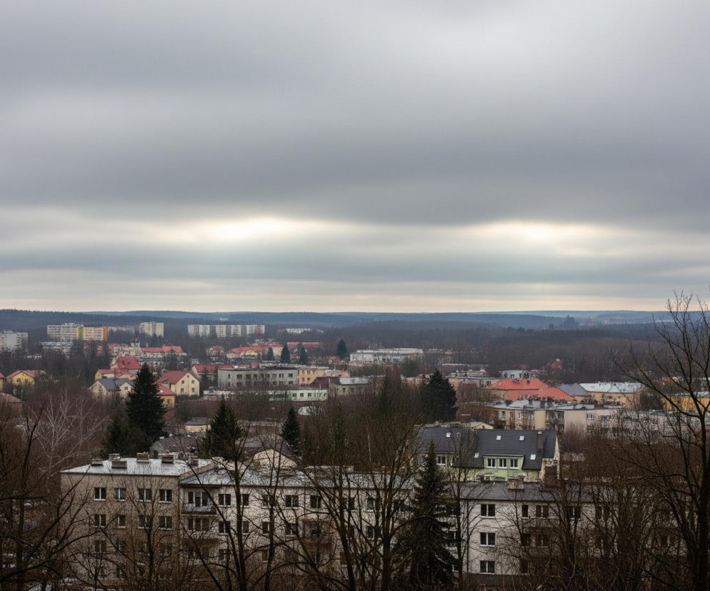 Panorama miasta rozciąga się pod szarym, zachmurzonym niebem, które zajmuje większość górnej części kadru. Pośrodku linii horyzontu widać jaśniejszy pas chmur, z którego przebija słabe światło. Poniżej, w centralnej i dolnej części zdjęcia, rozciągają się liczne budynki mieszkalne o zróżnicowanej architekturze i kolorach elewacji, dominują odcienie szarości, beżu i bieli. Całość przeplatają nagie drzewa z ciemnymi gałęziami, częściowo zasłaniające zabudowania. W tle widać rozległy las, a za nim odległe zabudowania, które wydają się zlewają z horyzontem.