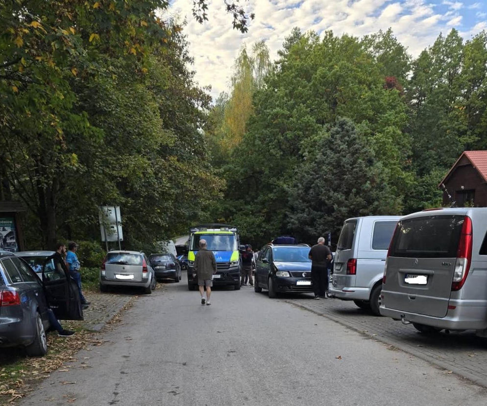 Grzybiarze z rumuńskimi tablicami pod Suchedniowem. Do akcji wkroczyła Policja