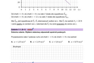 Matura próbna CKE 2026 - fizyka