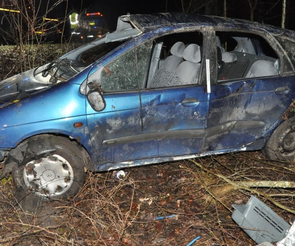Lubelskie: PIJANY kierowca ZABIŁ PASAŻERA. Samochód wypadł z drogi, dachował