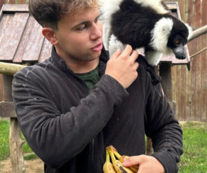 W zoo pod Lublinem urodził się lemur