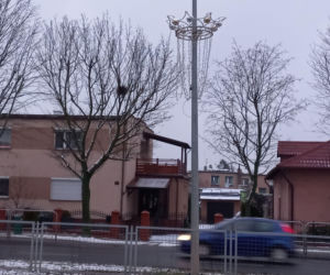 Jednorazowa dekoracja? Nowe iluminacje świąteczne w Lesznie nie wytrzymały nawet sezonu!