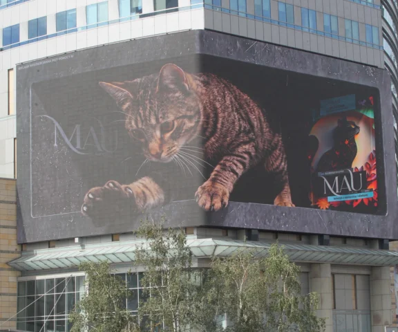 Gigantyczny kot w centrum Warszawy. Trójwymiarowa reklama podbija internet