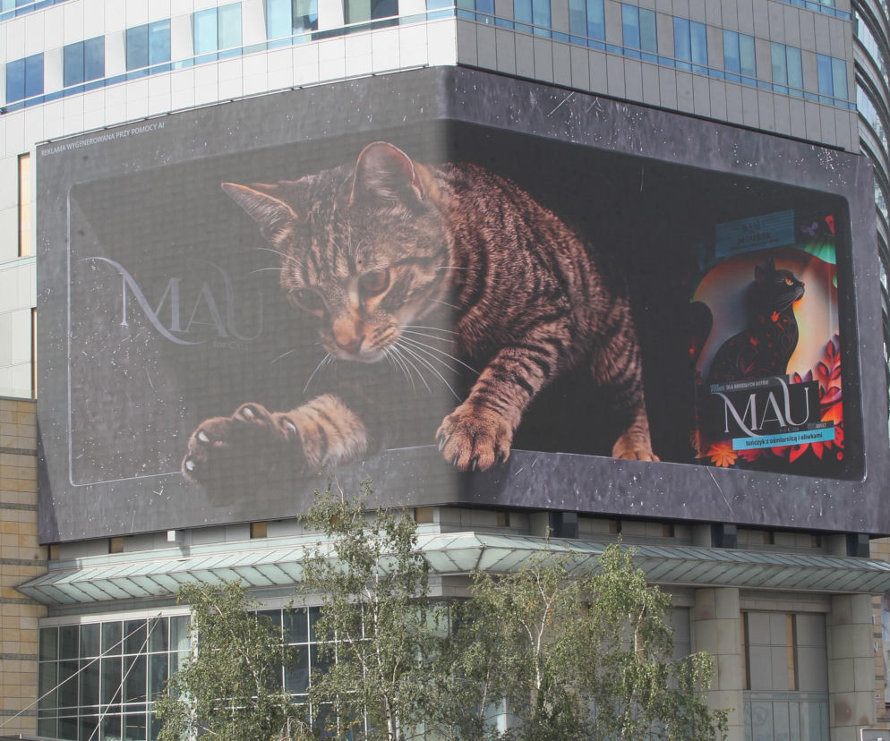Kot na ekranie reklamowym LED Warsaw STAGE na wieżowcu Skylight