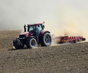 Nie tyko kwiecień plecień. Tak przepowiadały przyszłość nasze babki! Te kwietniowe przysłowia mogą zaskoczyć