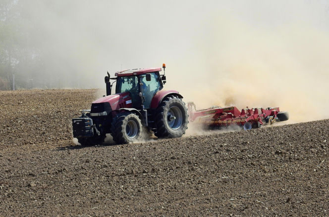 Nie tyko "kwiecień plecień". Tak przepowiadały przyszłość nasze babki! Te kwietniowe przysłowia mogą zaskoczyć