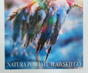 kalendarz powiatu