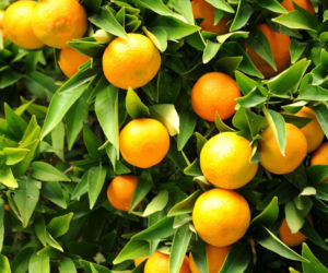 Wakacje 2026: do tych krajów Polacy najchętniej polecą na urlop