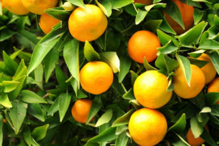 Wakacje 2026: do tych krajów Polacy najchętniej polecą na urlop