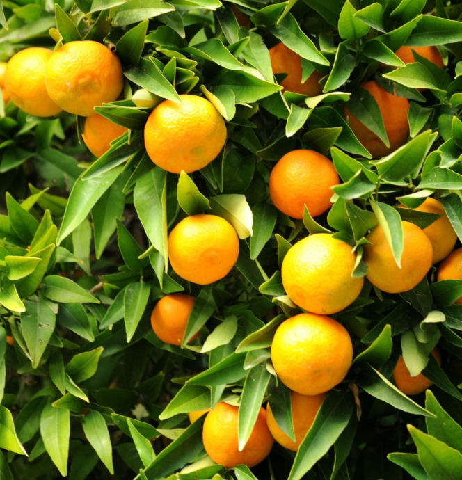 Wakacje 2026: do tych krajów Polacy najchętniej polecą na urlop