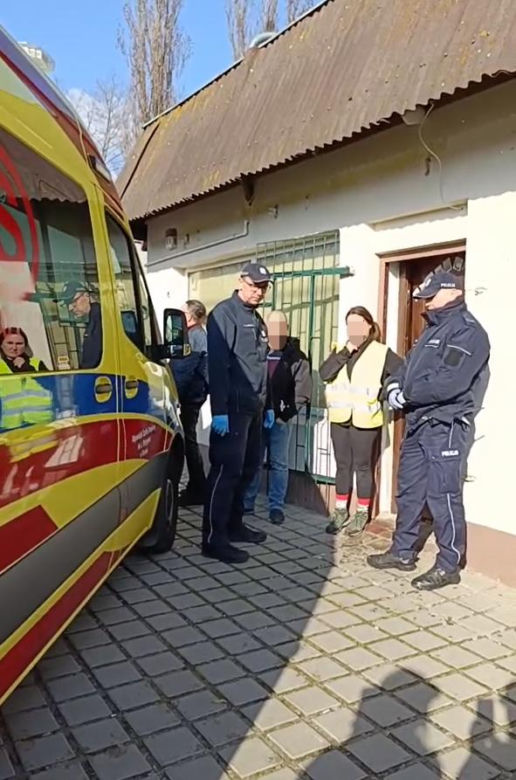 Toruńska Kocia Straż. Odebrano zwierzęta