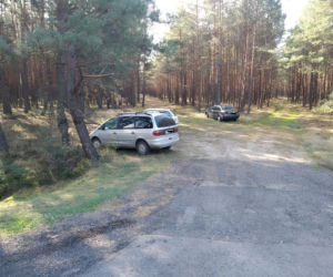 Zobaczcie jakie grzyby można znaleźć w lasach w pobliżu Gorzowa. 