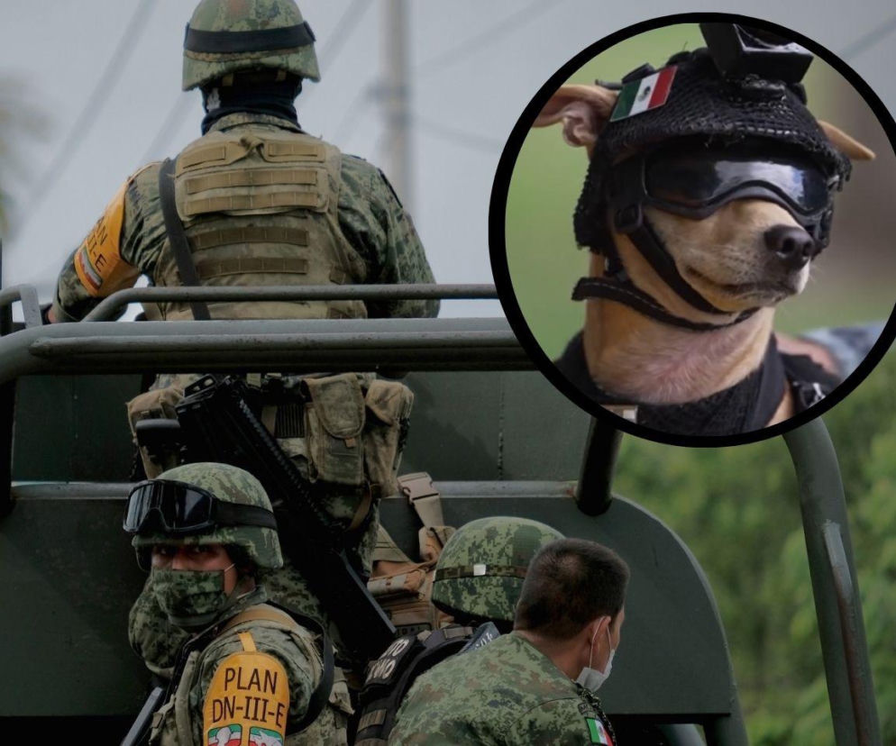 Uzbrojeni meksykańscy gwardziści na pojeździe. Na miniaturze pies Comando w goglach i kasku, o czym pisze Eska.
