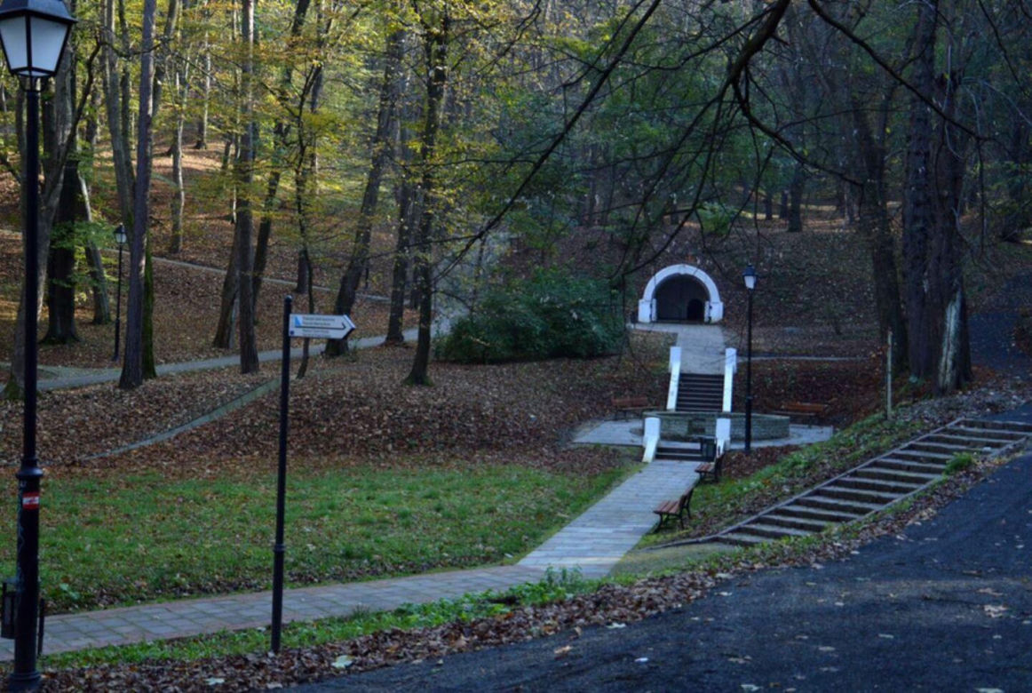 Według AI to najpiękniejszy park na Podkarpaciu 