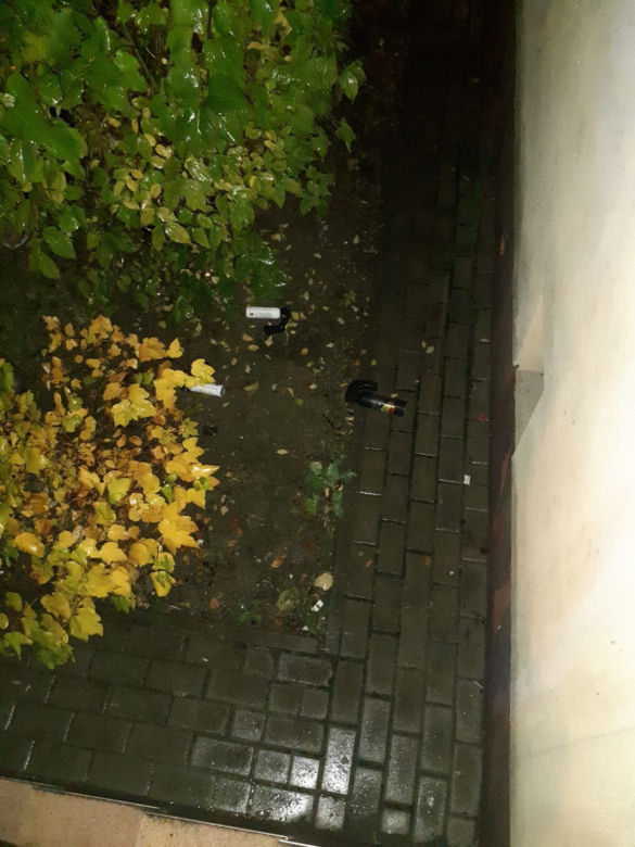 Tarnów. Kibole dołączyli do Strajku Kobiet w NIECNYM celu!  Mieli maczety, siekiery i gaz 
