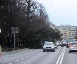 Warszawa: Al Ujazdowskie, potężne drzewo spadło na autobus i zablokowało ulicę