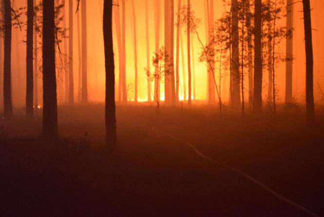 Pożar lasów na Lubelszczyźnie