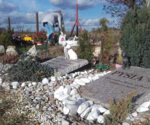 5 Cmentarz dla zwierząt w Łodzi
