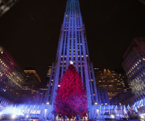 Choinka w nowojorskim Rockefeller Center rozbłysła! Robi ogromne wrażenie [ZDJĘCIA]