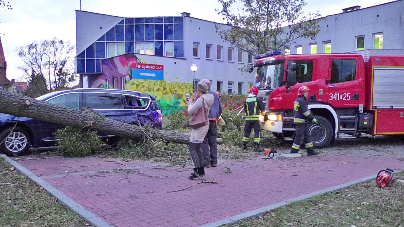 Wichury w Toruniu. Żywioł wywracał drzewa i nie tylko